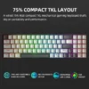 75 compact tkl layout keyboard